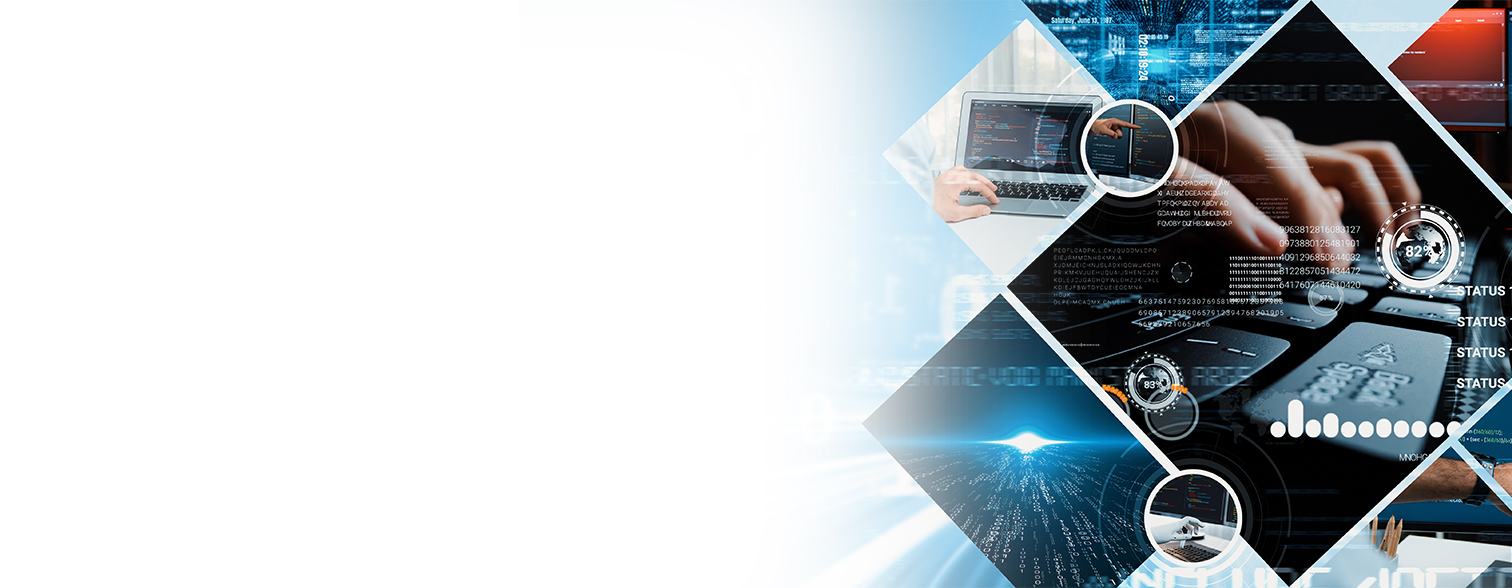 Velqora Digital software development team
