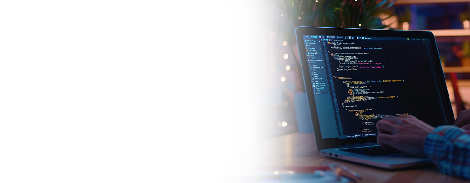 Web development services